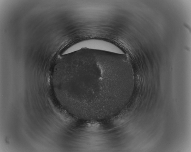 X0000091190214200708231516