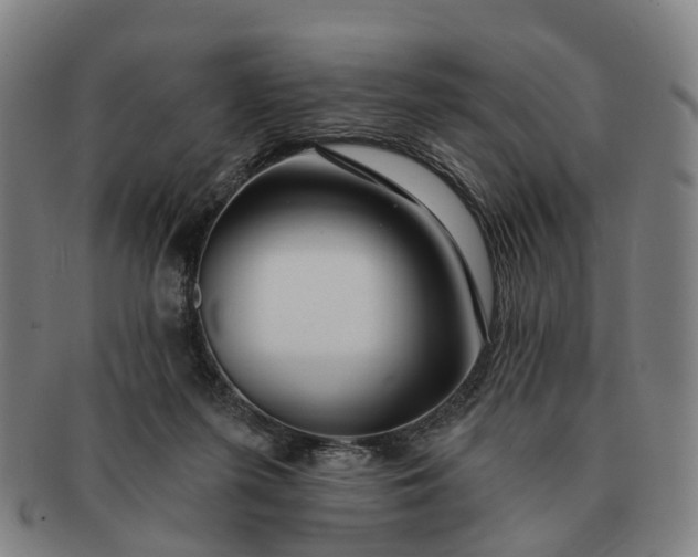 X0000091190215200708231515