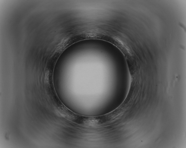 X0000091190217200708231515