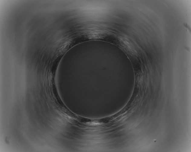 X0000091190219200708231515