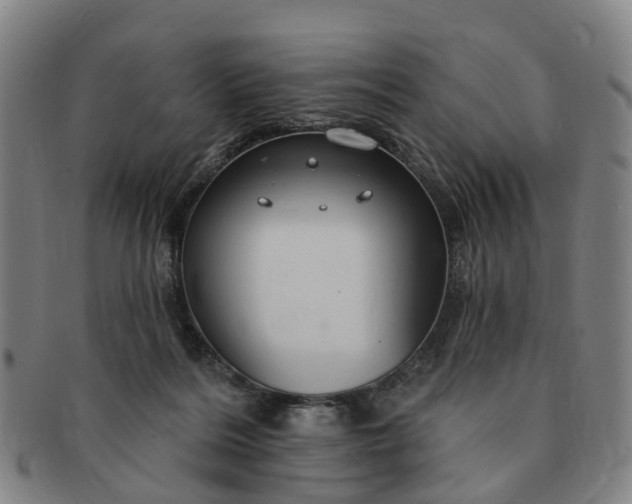 X0000091190220200708231515