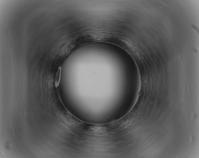 X0000091190221200708231515