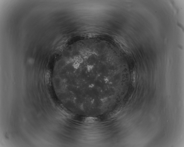 X0000091190222200708231515