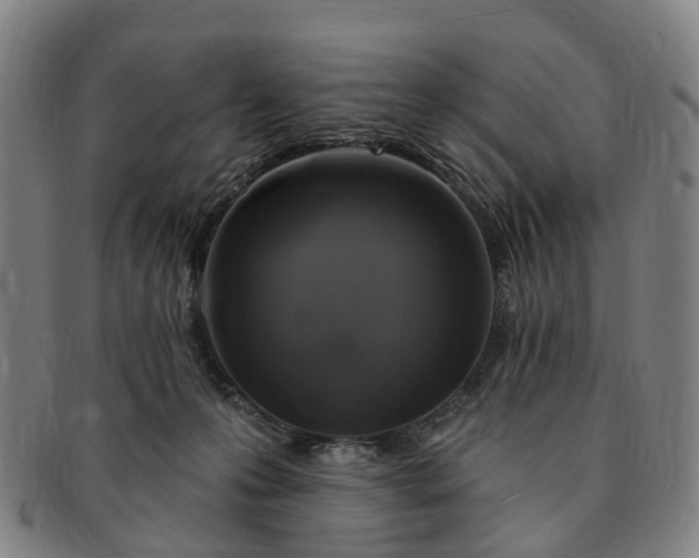 X0000091190223200708231515