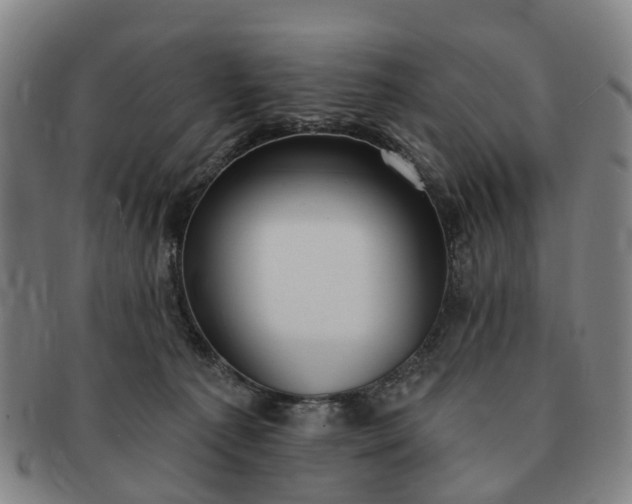 X0000091190225200708231515