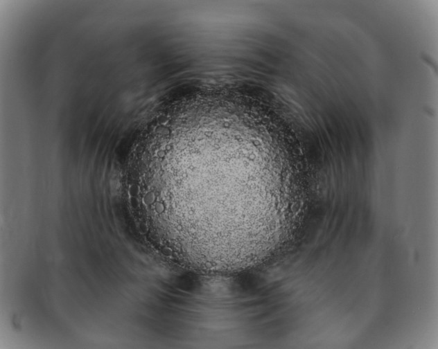 X0000091190226200708231515