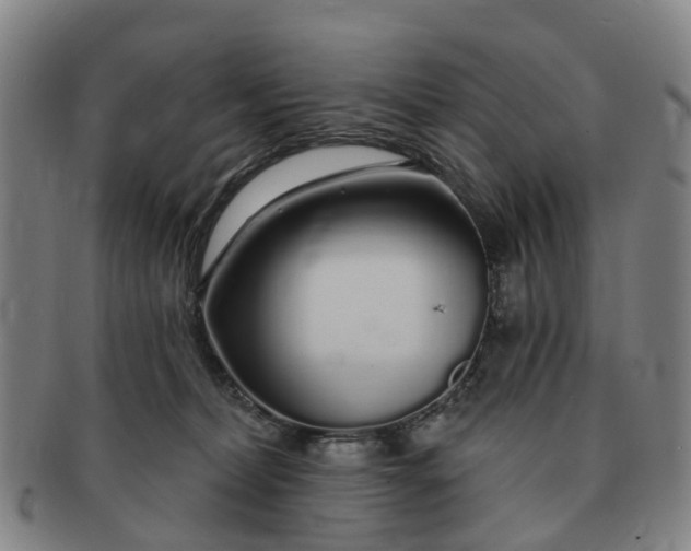 X0000091190228200708231515