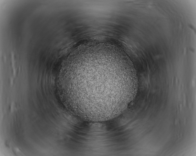 X0000091190230200708231515