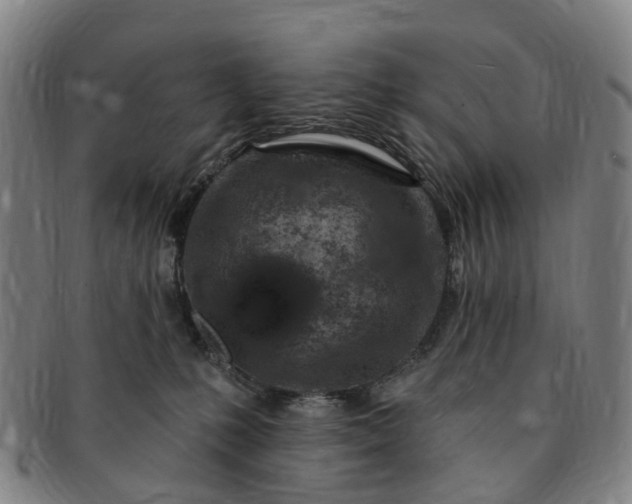 X0000091190231200708231515