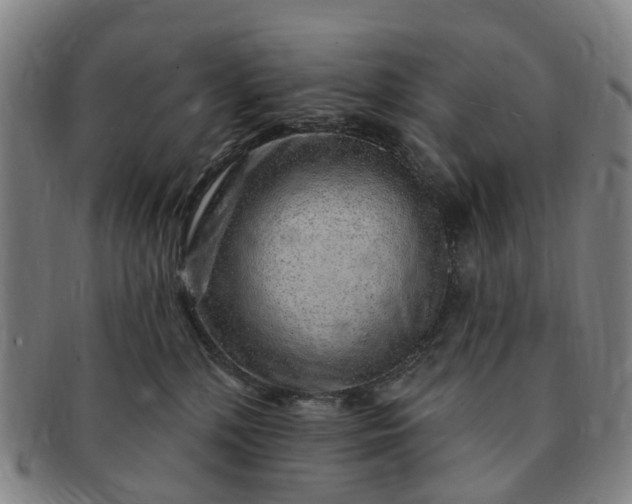 X0000091190232200708231515