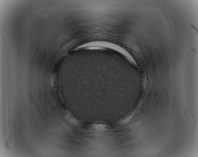 X0000091190233200708231515