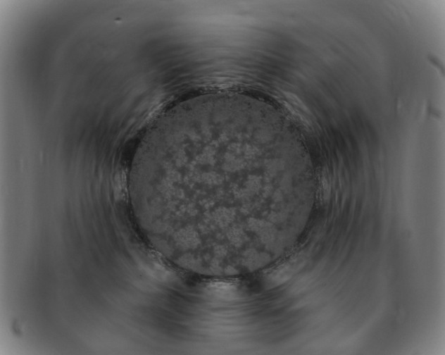 X0000091190236200708231515