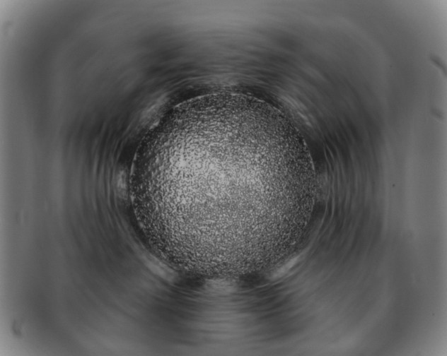 X0000091190238200708231515