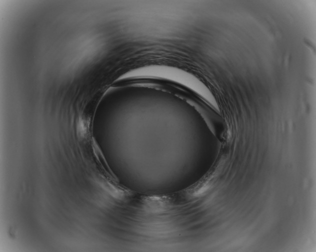 X0000091190239200708231515