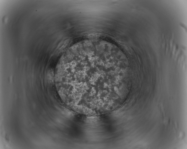 X0000091190240200708231515