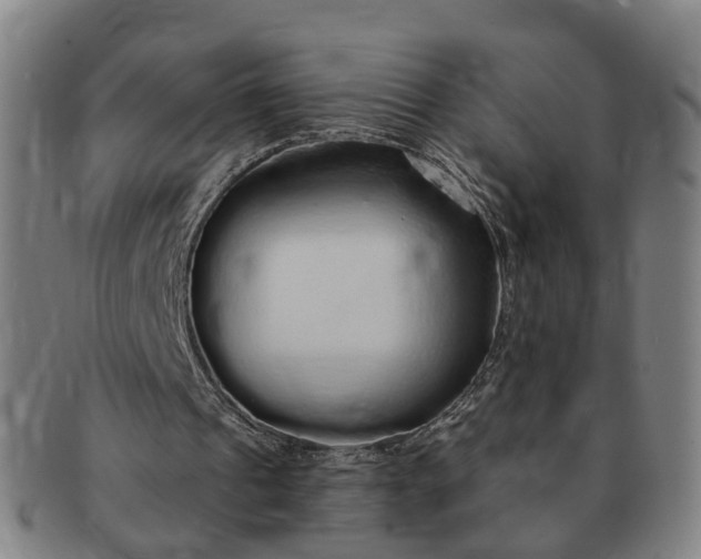 X0000091190241200708231514