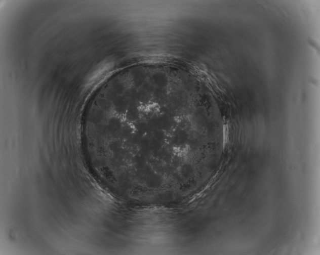 X0000091190243200708231515