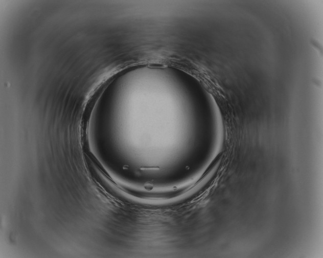 X0000091190244200708231515