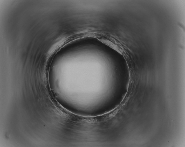 X0000091190245200708231515