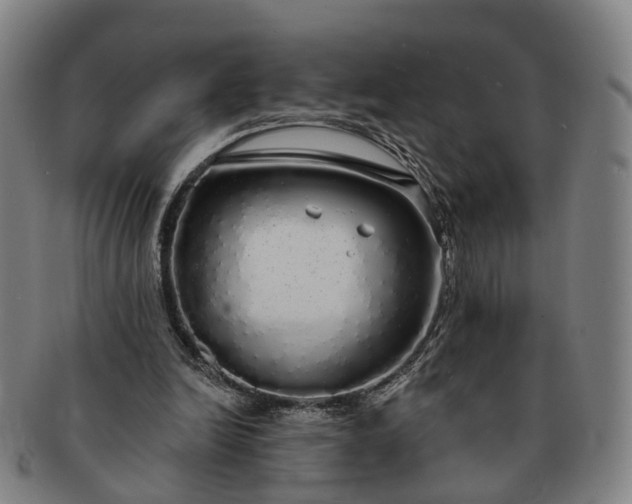 X0000091190246200708231515