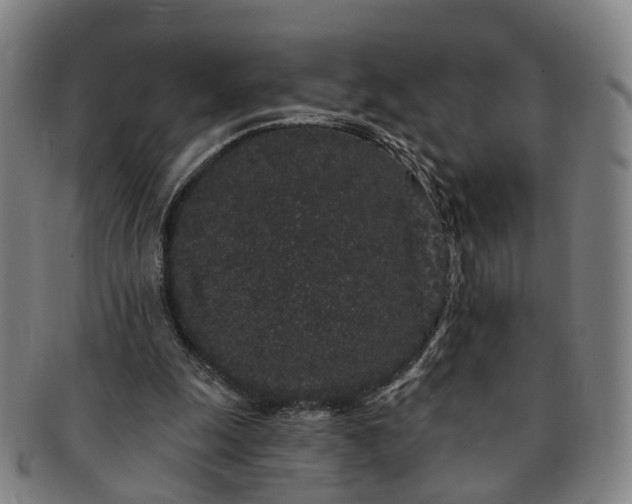 X0000091190247200708231515