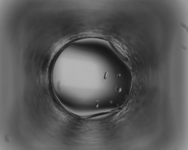 X0000091190248200708231515