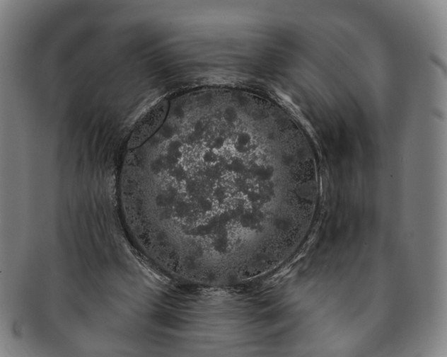 X0000091190249200708231515