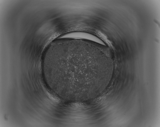 X0000091190250200708231515