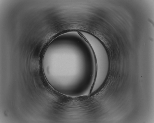 X0000091190252200708231515