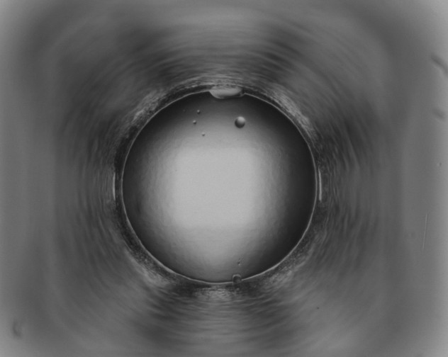 X0000091190253200708231515