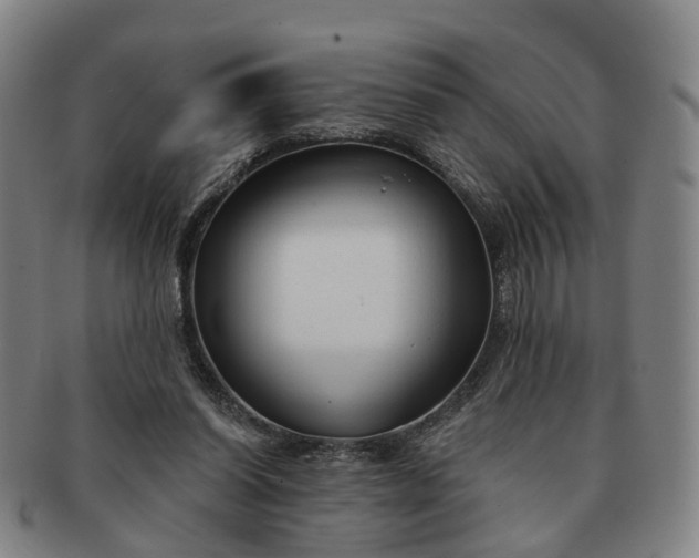 X0000091190254200708231515