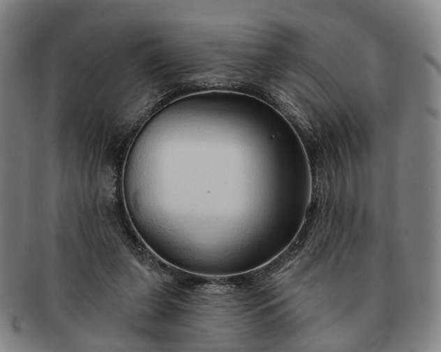 X0000091190255200708231515