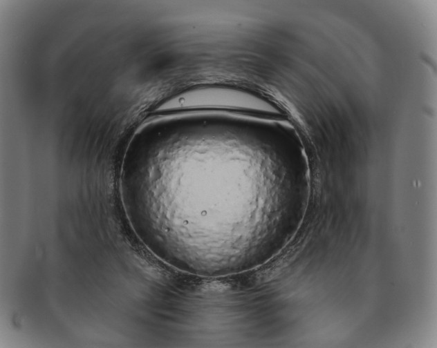 X0000091190257200708231515