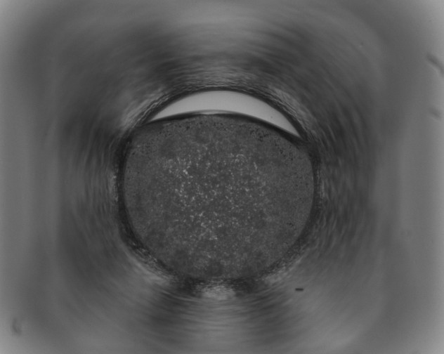 X0000091190258200708231515