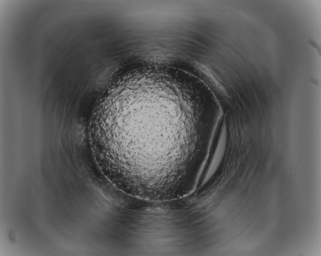 X0000091190259200708231515