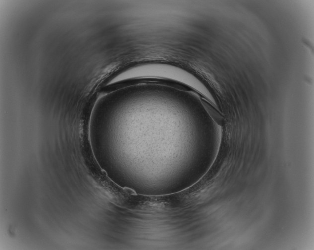 X0000091190260200708231515