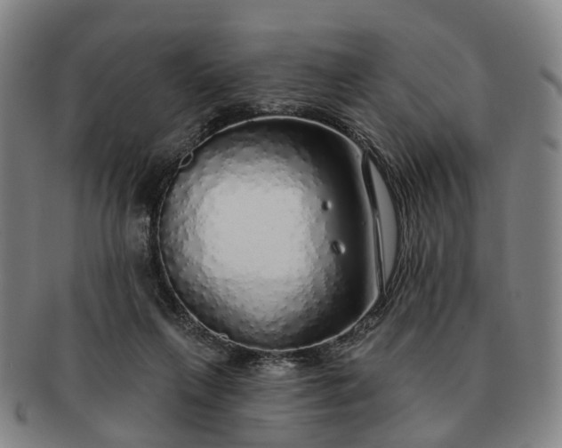 X0000091190263200708231515