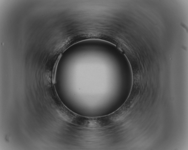 X0000091190264200708231515