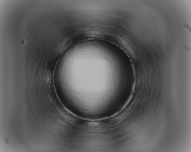 X0000091190265200708231515