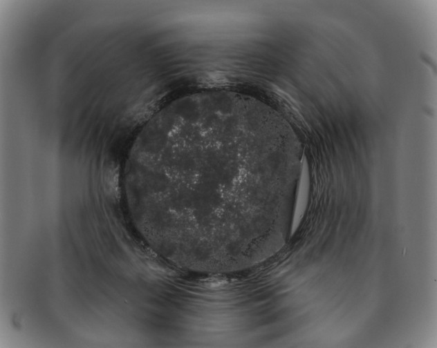 X0000091190267200708231515