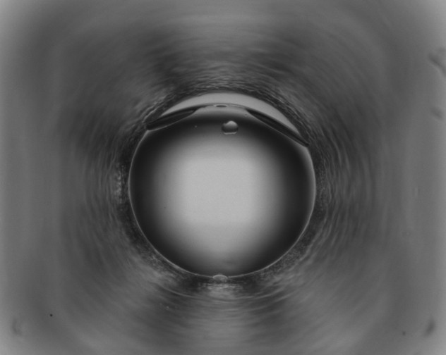 X0000091190268200708231515