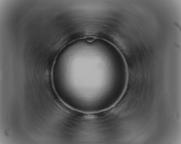 X0000091190269200708231515