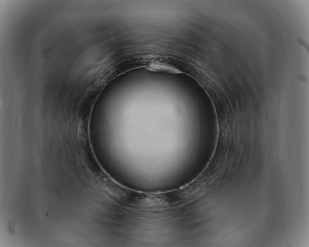 X0000091190270200708231515