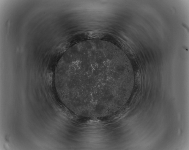 X0000091190271200708231515