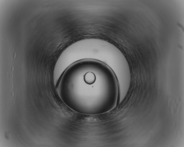 X0000091190272200708231515