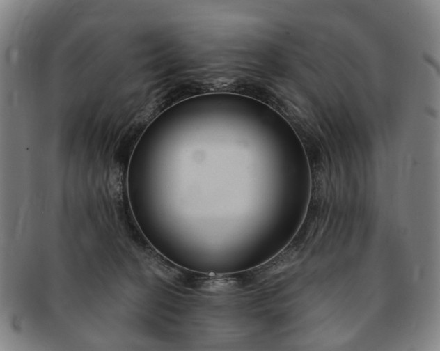 X0000091190274200708231515