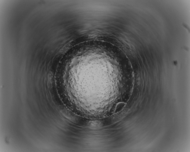 X0000091190275200708231515