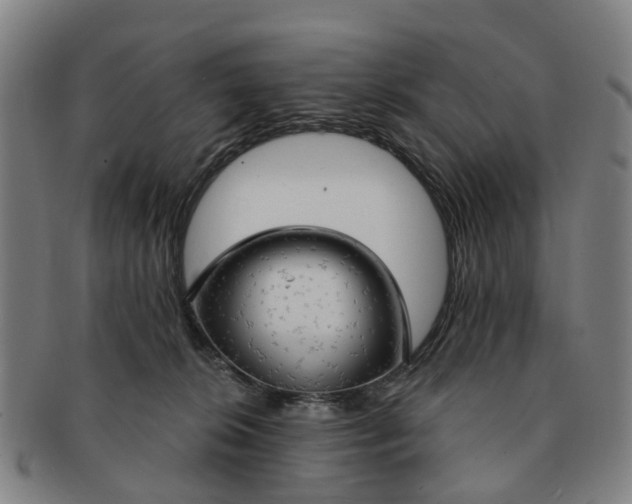 X0000091190276200708231515