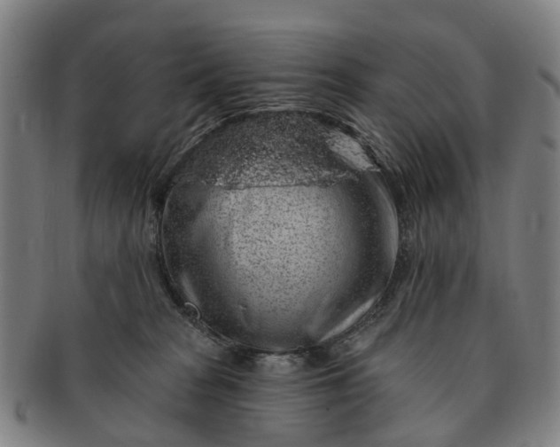 X0000091190277200708231515