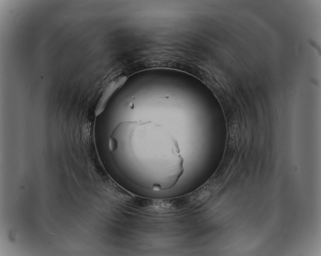 X0000091190278200708231515